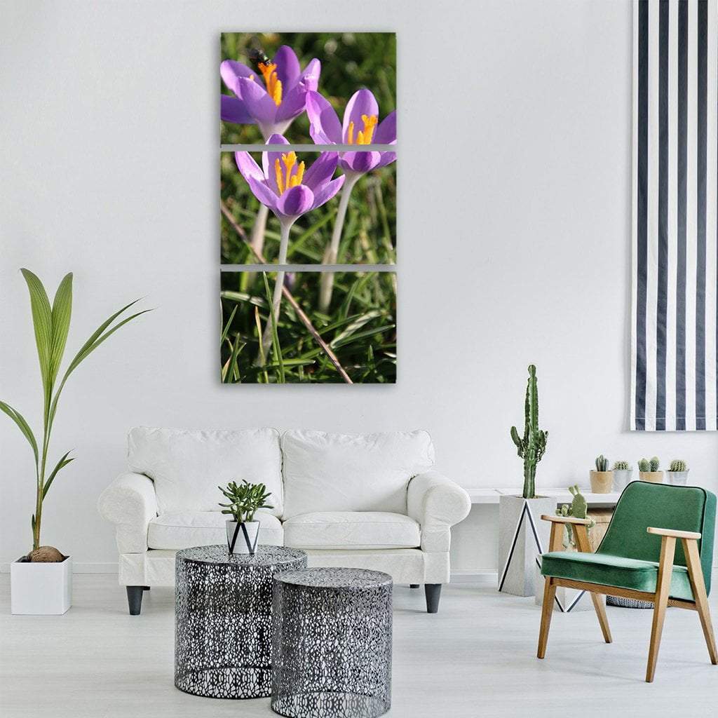 Crocus In Spring Vertical Canvas Wall Art-3 Vertical-Gallery Wrap-12" x 25"-Tiaracle