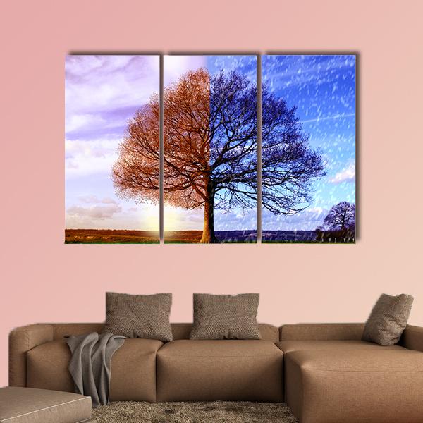 Tree In Two Seasons Canvas Wall Art-3 Horizontal-Gallery Wrap-25" x 16"-Tiaracle