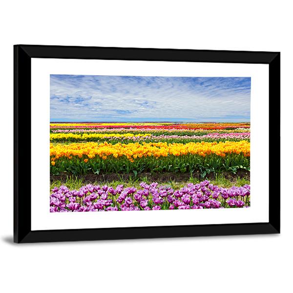 Colorful Tulips Canvas Wall Art-5 Horizontal-Gallery Wrap-22" x 12"-Tiaracle