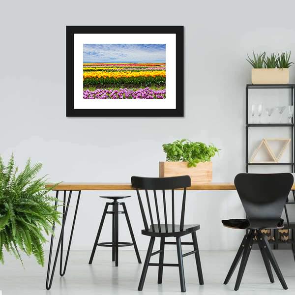 Colorful Tulips Canvas Wall Art-3 Horizontal-Gallery Wrap-25" x 16"-Tiaracle