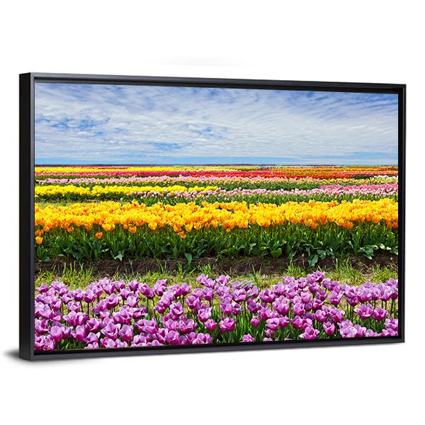 Colorful Tulips Canvas Wall Art-5 Horizontal-Gallery Wrap-22" x 12"-Tiaracle