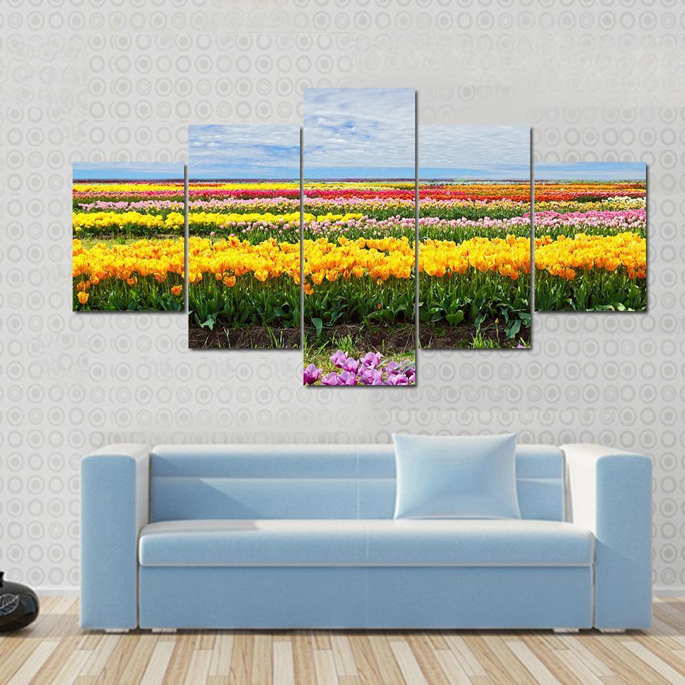 Colorful Tulips Canvas Wall Art-5 Star-Gallery Wrap-62" x 32"-Tiaracle