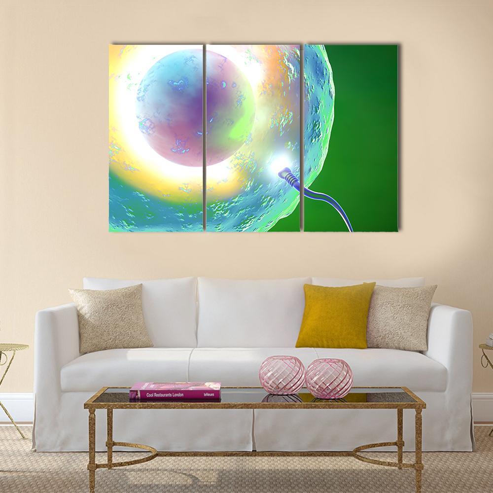 Conception Ovum And Sperm Canvas Wall Art-3 Horizontal-Gallery Wrap-37" x 24"-Tiaracle