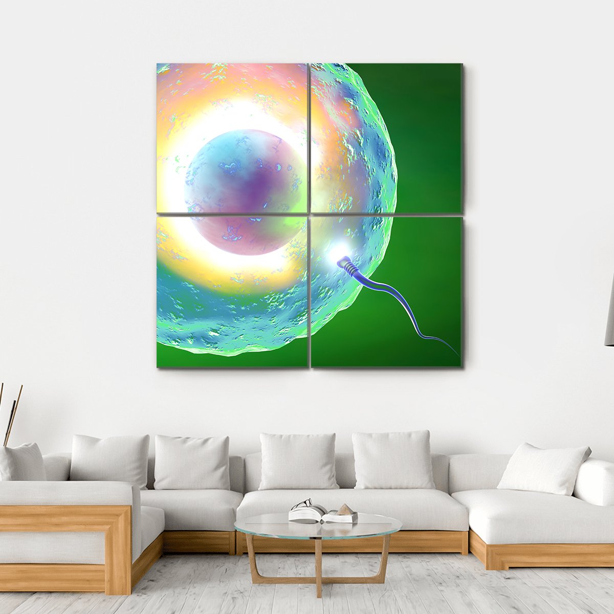 Conception Ovum And Sperm Canvas Wall Art-4 Square-Gallery Wrap-17" x 17"-Tiaracle