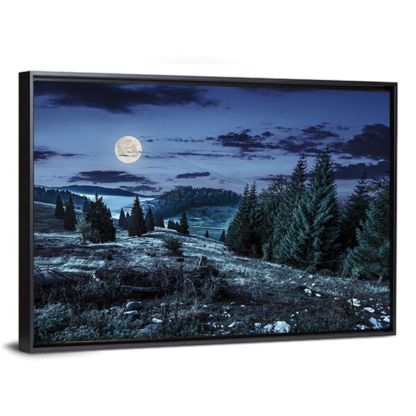 Coniferous Forest At Night Canvas Wall Art-5 Horizontal-Gallery Wrap-22&quot; x 12&quot;-Tiaracle