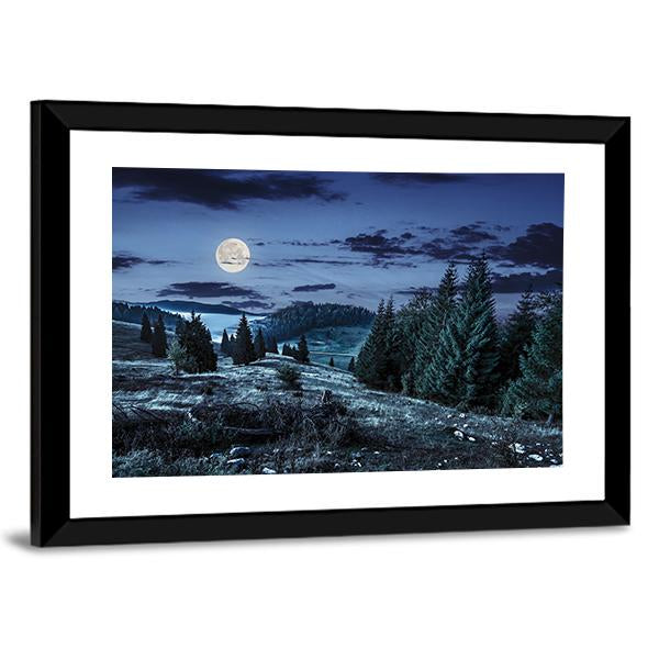 Coniferous Forest At Night Vertical Canvas Wall Art-3 Vertical-Gallery Wrap-12" x 25"-Tiaracle