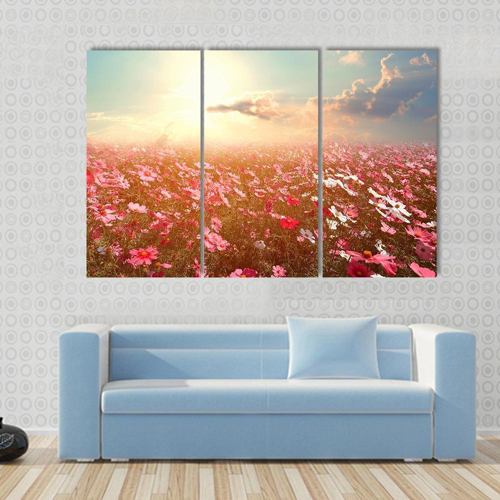Cosmos Flower Field Canvas Wall Art-3 Horizontal-Gallery Wrap-37" x 24"-Tiaracle