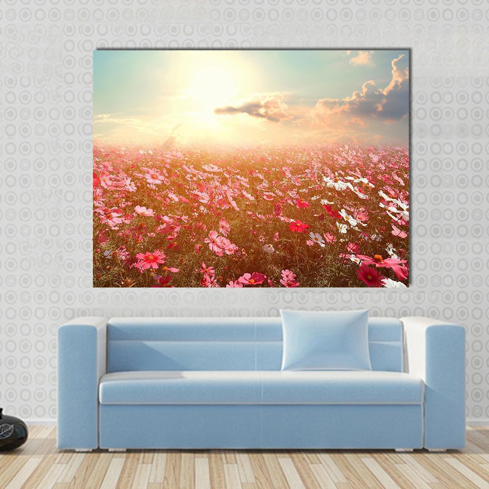 Cosmos Flower Field at Sunset Canvas Wall Art in orange, yellow and pink, single panel hung on a wall