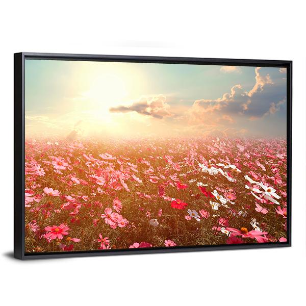 Cosmos Flower Field Canvas Wall Art-3 Horizontal-Gallery Wrap-25" x 16"-Tiaracle