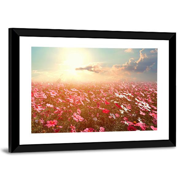 Cosmos Flower Field Canvas Wall Art-3 Horizontal-Gallery Wrap-25" x 16"-Tiaracle