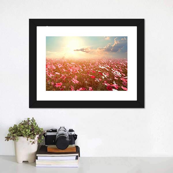 Cosmos Flower Field Canvas Wall Art-3 Horizontal-Gallery Wrap-25" x 16"-Tiaracle