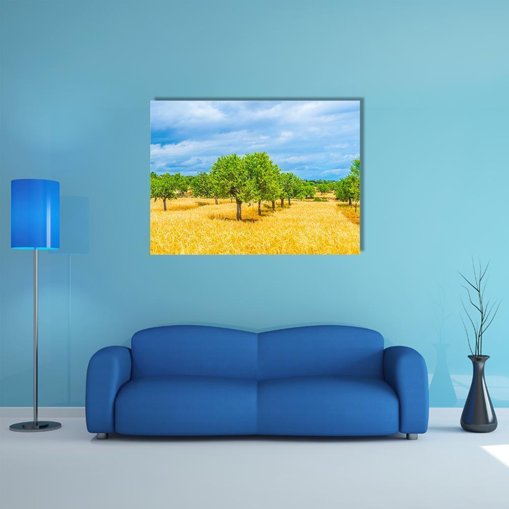 Countryside Of Mallorca Canvas Wall Art-1 Piece-Gallery Wrap-48" x 32"-Tiaracle