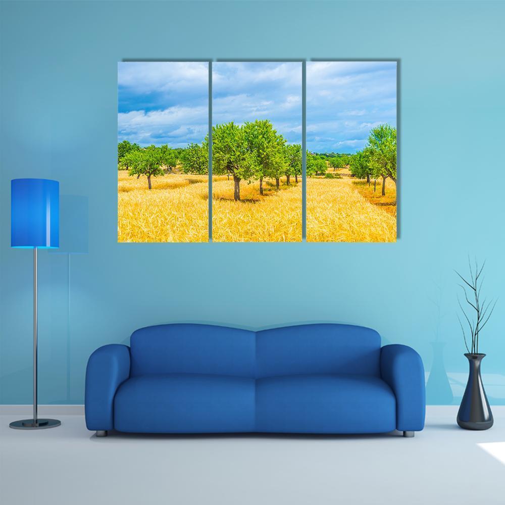 Countryside Of Mallorca Canvas Wall Art-3 Horizontal-Gallery Wrap-37" x 24"-Tiaracle