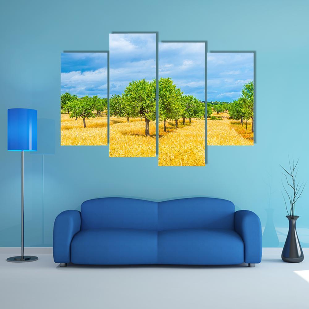 Countryside Of Mallorca Canvas Wall Art-4 Pop-Gallery Wrap-50" x 32"-Tiaracle