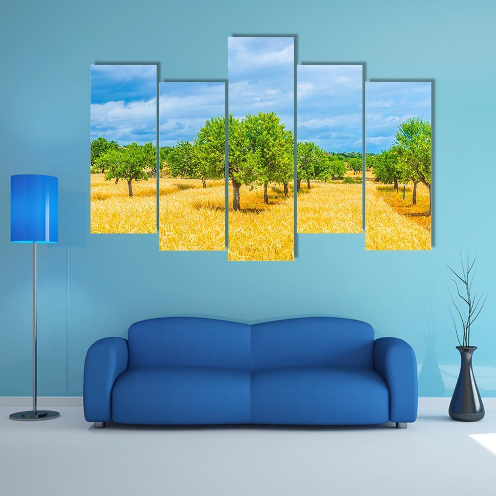 Countryside Of Mallorca Canvas Wall Art-5 Pop-Gallery Wrap-47" x 32"-Tiaracle