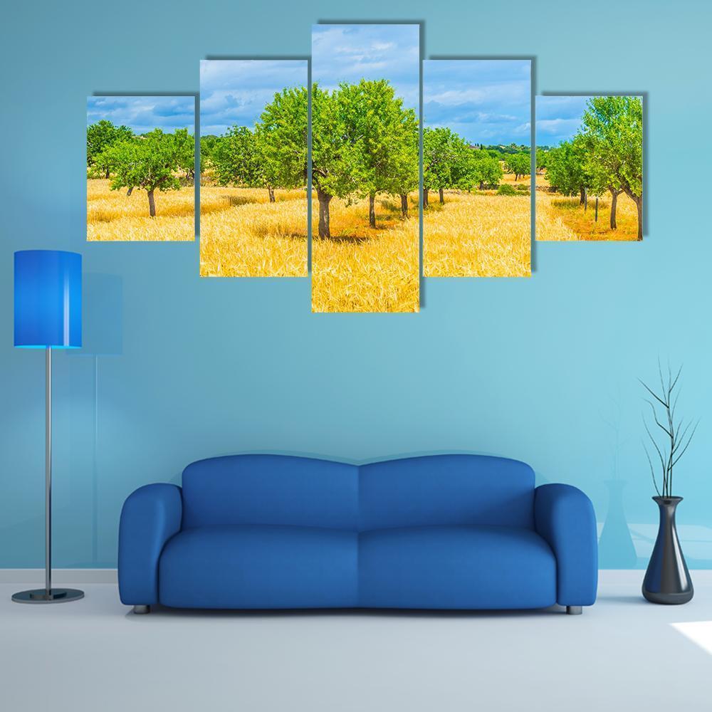 Countryside Of Mallorca Canvas Wall Art-5 Star-Gallery Wrap-62" x 32"-Tiaracle