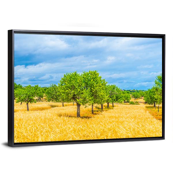 Countryside Of Mallorca Canvas Wall Art-3 Horizontal-Gallery Wrap-25" x 16"-Tiaracle