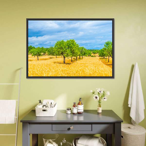 Countryside Of Mallorca Canvas Wall Art-3 Horizontal-Gallery Wrap-25" x 16"-Tiaracle