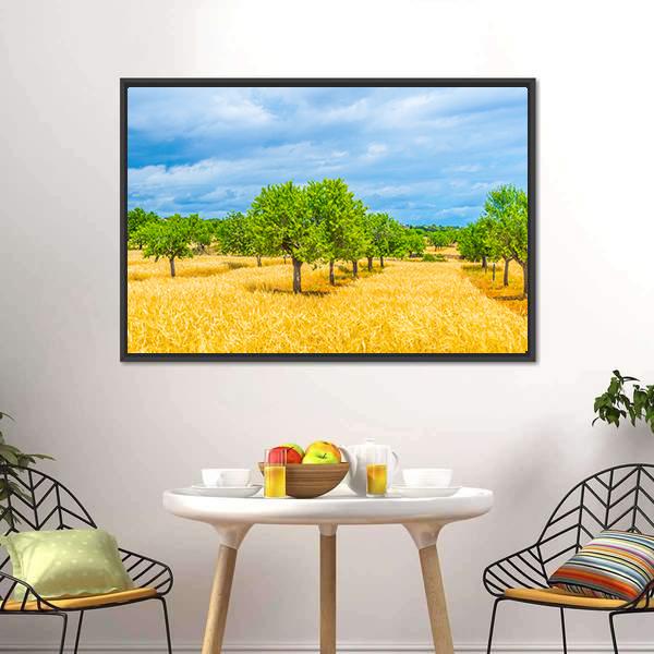Countryside Of Mallorca Canvas Wall Art-1 Piece-Floating Frame-24" x 16"-Tiaracle