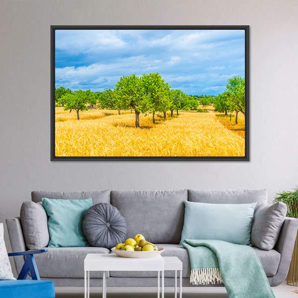 Countryside Of Mallorca Canvas Wall Art-3 Horizontal-Gallery Wrap-25" x 16"-Tiaracle