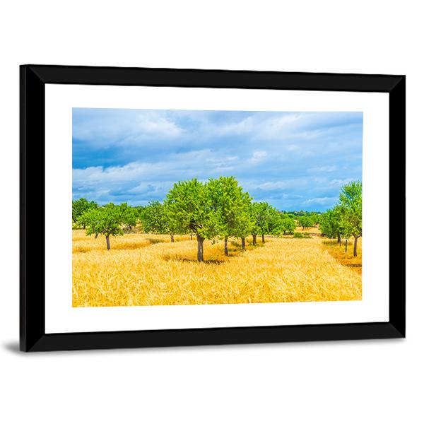 Countryside Of Mallorca Canvas Wall Art-3 Horizontal-Gallery Wrap-25" x 16"-Tiaracle