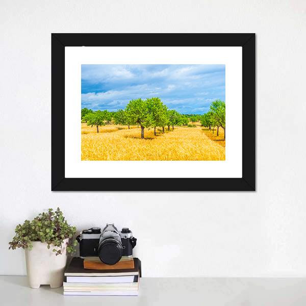 Countryside Of Mallorca Canvas Wall Art-3 Horizontal-Gallery Wrap-25" x 16"-Tiaracle
