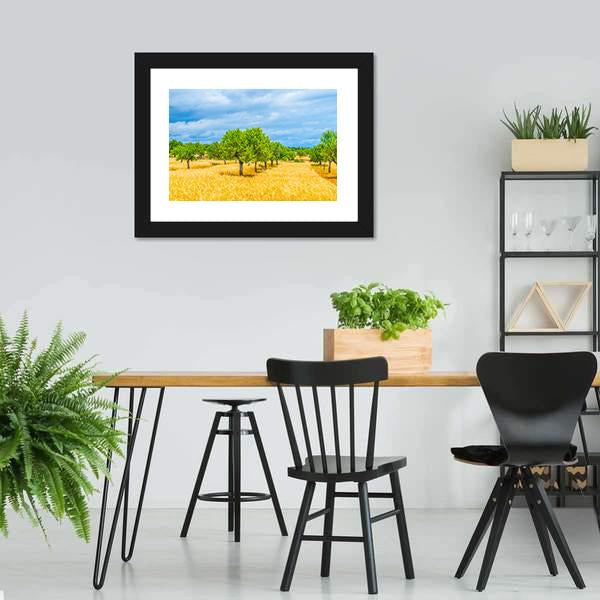 Countryside Of Mallorca Canvas Wall Art-3 Horizontal-Gallery Wrap-25" x 16"-Tiaracle