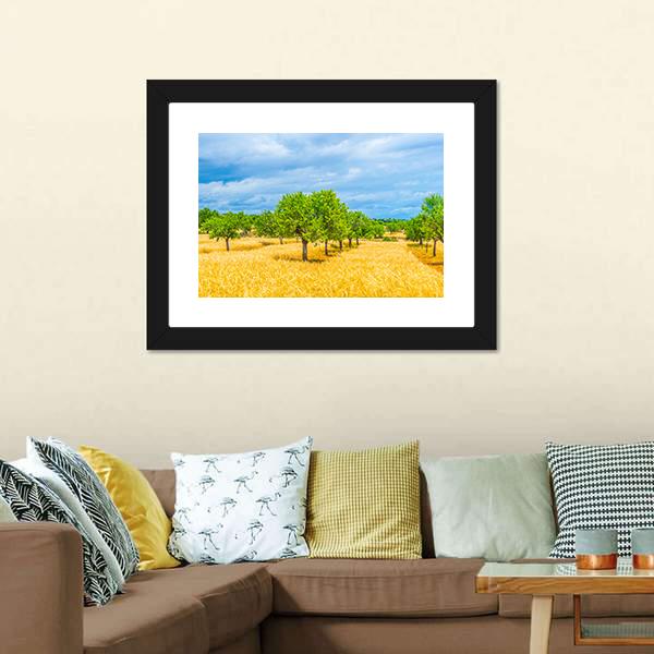 Countryside Of Mallorca Canvas Wall Art-1 Piece-Framed Print-20" x 16"-Tiaracle