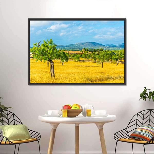 Countryside of Mallorca Spain Canvas Wall Art-1 Piece-Floating Frame-24" x 16"-Tiaracle