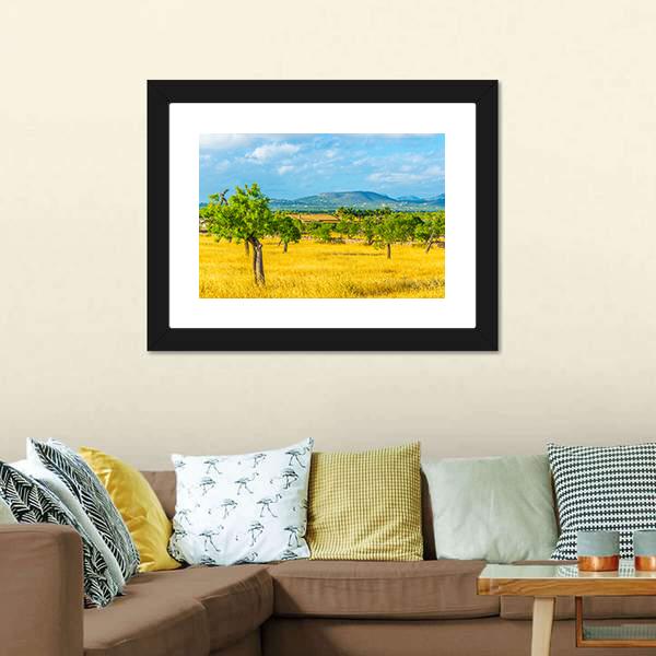 Countryside of Mallorca Spain Canvas Wall Art-1 Piece-Framed Print-20" x 16"-Tiaracle