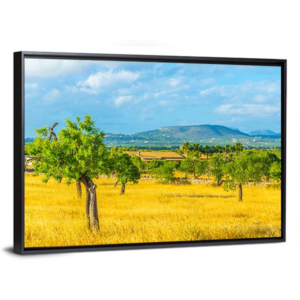 Countryside of Mallorca Spain Canvas Wall Art-3 Horizontal-Gallery Wrap-25" x 16"-Tiaracle