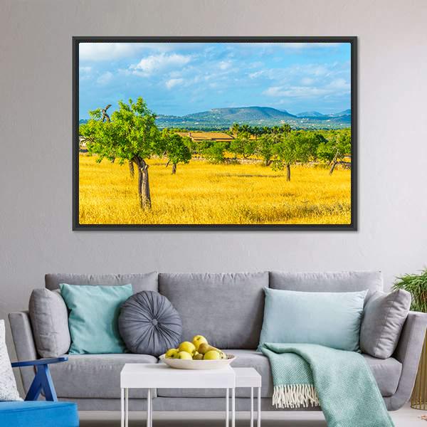 Countryside of Mallorca Spain Canvas Wall Art-3 Horizontal-Gallery Wrap-25" x 16"-Tiaracle