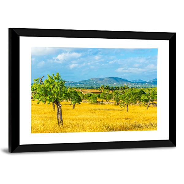 Countryside of Mallorca Spain Canvas Wall Art-3 Horizontal-Gallery Wrap-25" x 16"-Tiaracle