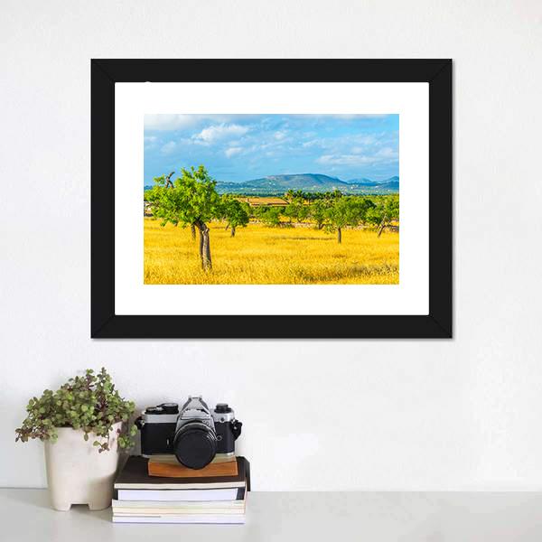 Countryside of Mallorca Spain Canvas Wall Art-3 Horizontal-Gallery Wrap-25" x 16"-Tiaracle