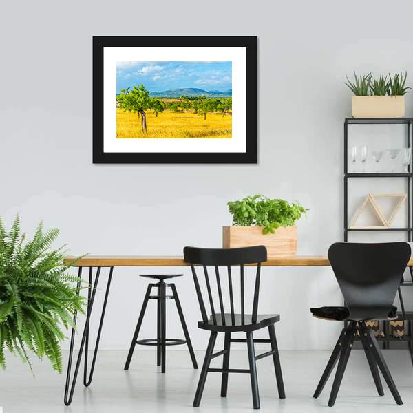 Countryside of Mallorca Spain Canvas Wall Art-3 Horizontal-Gallery Wrap-25" x 16"-Tiaracle