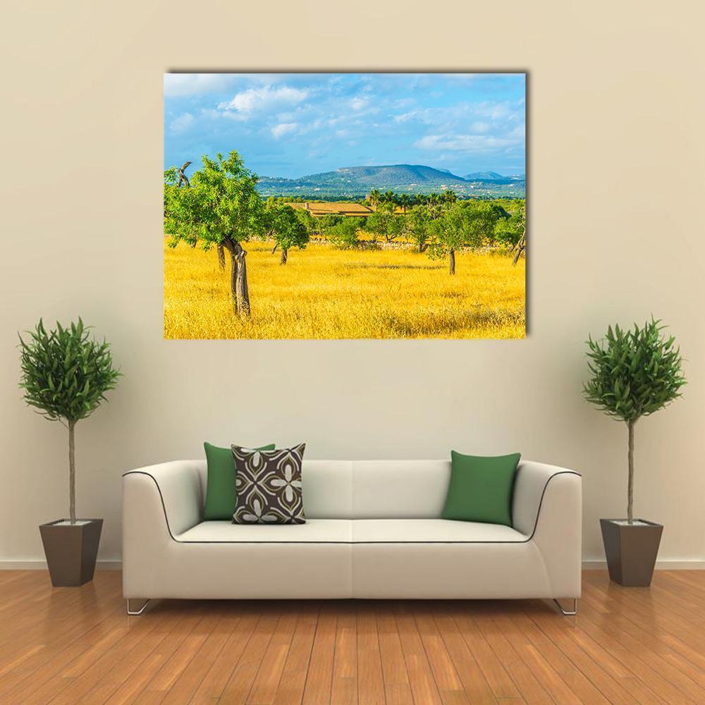 Countryside of Mallorca Spain Canvas Wall Art-1 Piece-Gallery Wrap-48" x 32"-Tiaracle