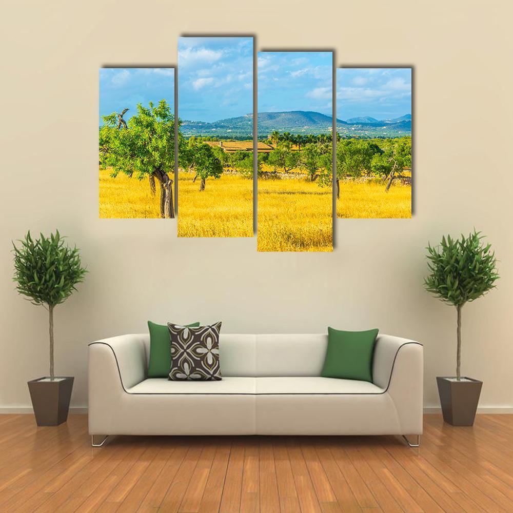 Countryside of Mallorca Spain Canvas Wall Art-4 Pop-Gallery Wrap-50" x 32"-Tiaracle