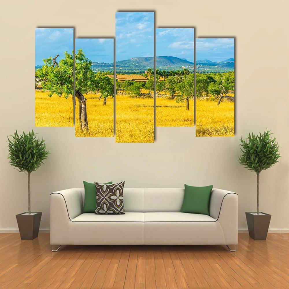 Countryside of Mallorca Spain Canvas Wall Art-5 Pop-Gallery Wrap-47" x 32"-Tiaracle