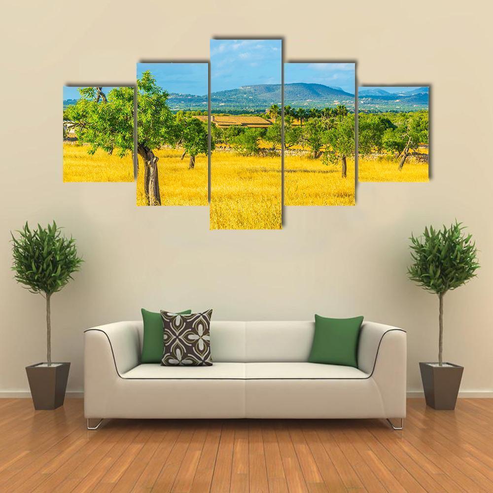 Countryside of Mallorca Spain Canvas Wall Art-5 Star-Gallery Wrap-62" x 32"-Tiaracle