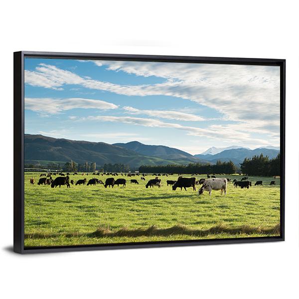 Cows In Green Field Canvas Wall Art-3 Horizontal-Gallery Wrap-25" x 16"-Tiaracle