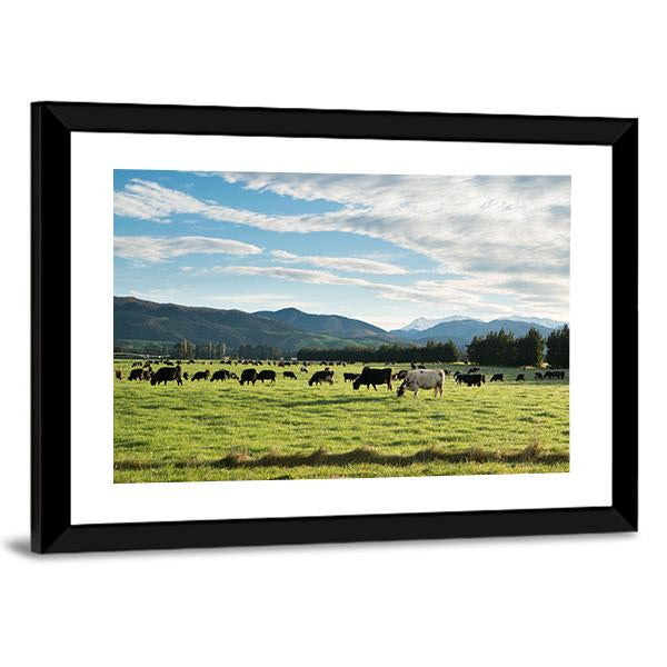 Cows In Green Field Canvas Wall Art-3 Horizontal-Gallery Wrap-25" x 16"-Tiaracle