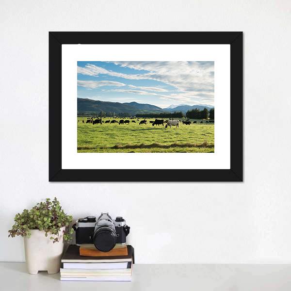 Cows In Green Field Canvas Wall Art-3 Horizontal-Gallery Wrap-25" x 16"-Tiaracle