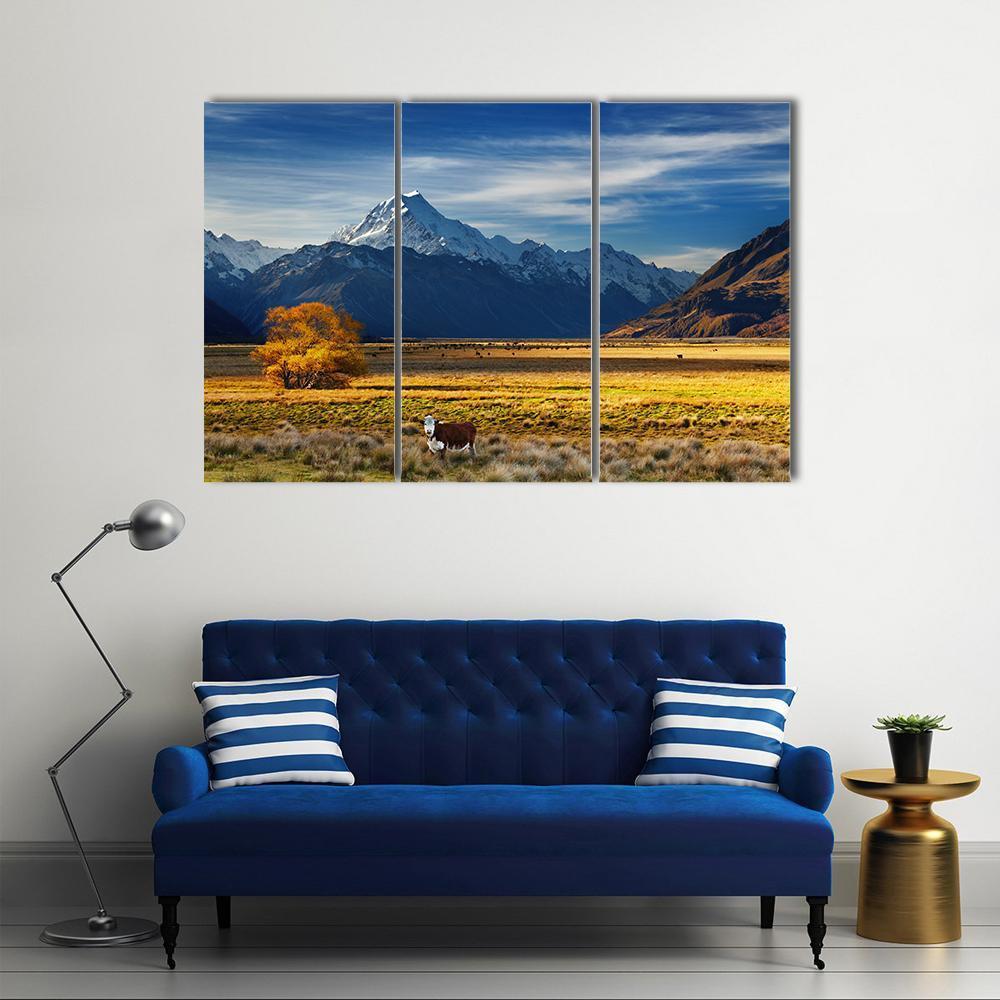 Cows Near Mount Cook Canvas Wall Art-3 Horizontal-Gallery Wrap-37" x 24"-Tiaracle