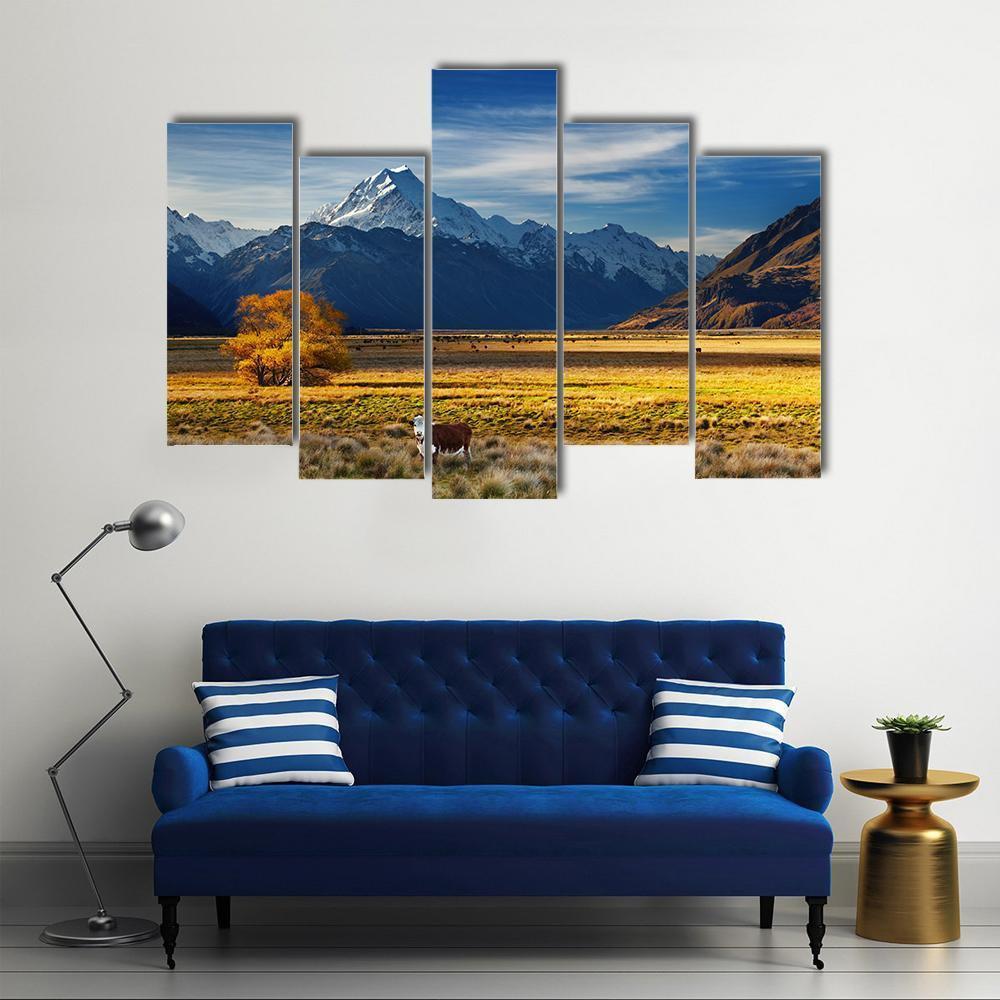 Cows Near Mount Cook Canvas Wall Art-5 Pop-Gallery Wrap-47" x 32"-Tiaracle
