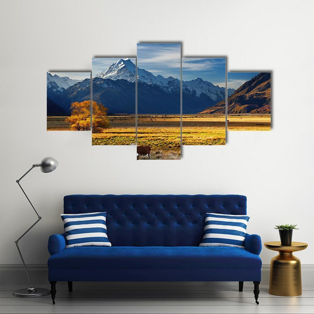 Cows Near Mount Cook Canvas Wall Art-5 Star-Gallery Wrap-62" x 32"-Tiaracle