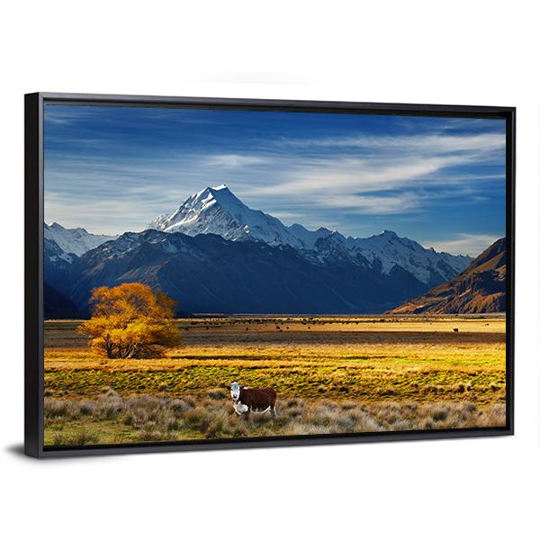 Cows Near Mount Cook Canvas Wall Art-3 Horizontal-Gallery Wrap-25" x 16"-Tiaracle