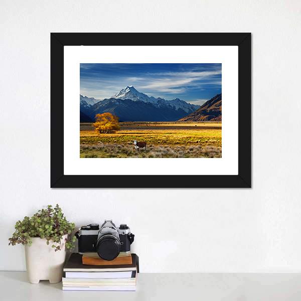 Cows Near Mount Cook Canvas Wall Art-1 Piece-Framed Print-20" x 16"-Tiaracle