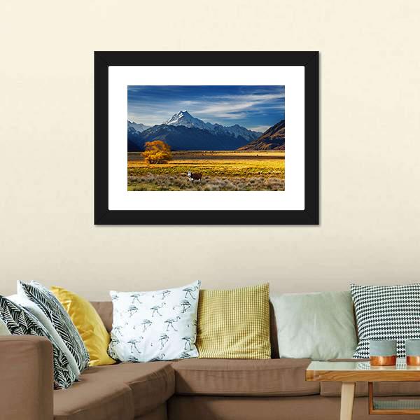 Cows Near Mount Cook Canvas Wall Art-3 Horizontal-Gallery Wrap-25" x 16"-Tiaracle