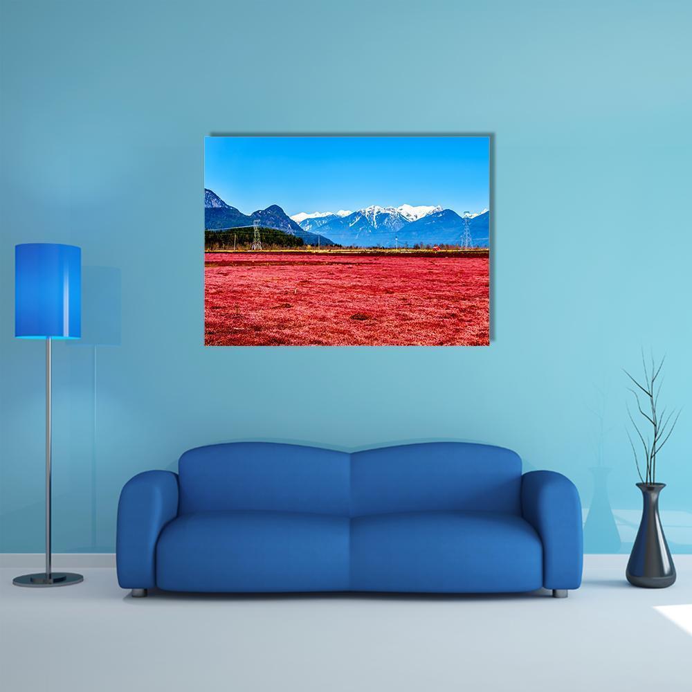 Cranberry Field with Snow-capped Mountains Canvas Wall Art in white, red and blue, single panel hung on a wall