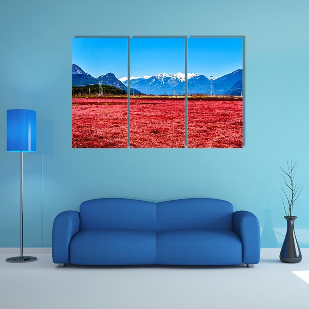 Cranberry Field Canvas Wall Art-3 Horizontal-Gallery Wrap-37" x 24"-Tiaracle